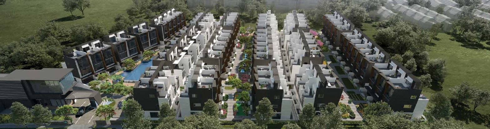 BELGRAVIA GREEN